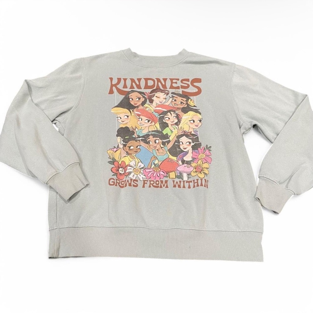 Disney Princess Gray Sweatshirt